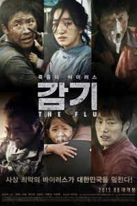 The Flu (2013) poster